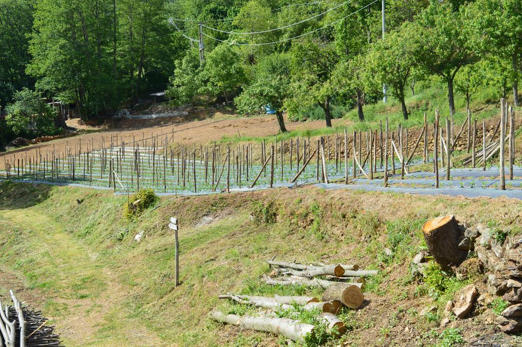 Agriturismo E Turre Serrastretta エクステリア 写真