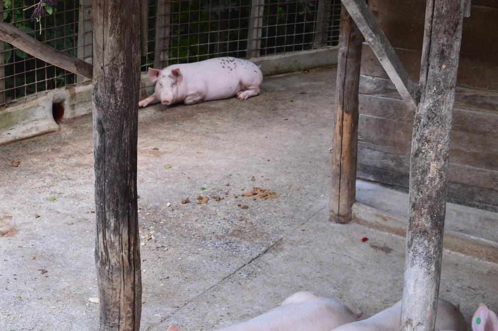 Agriturismo E Turre Serrastretta エクステリア 写真