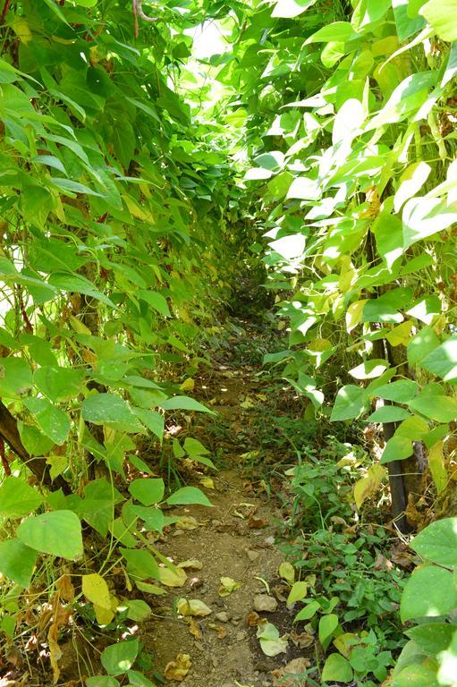 Agriturismo E Turre Serrastretta エクステリア 写真