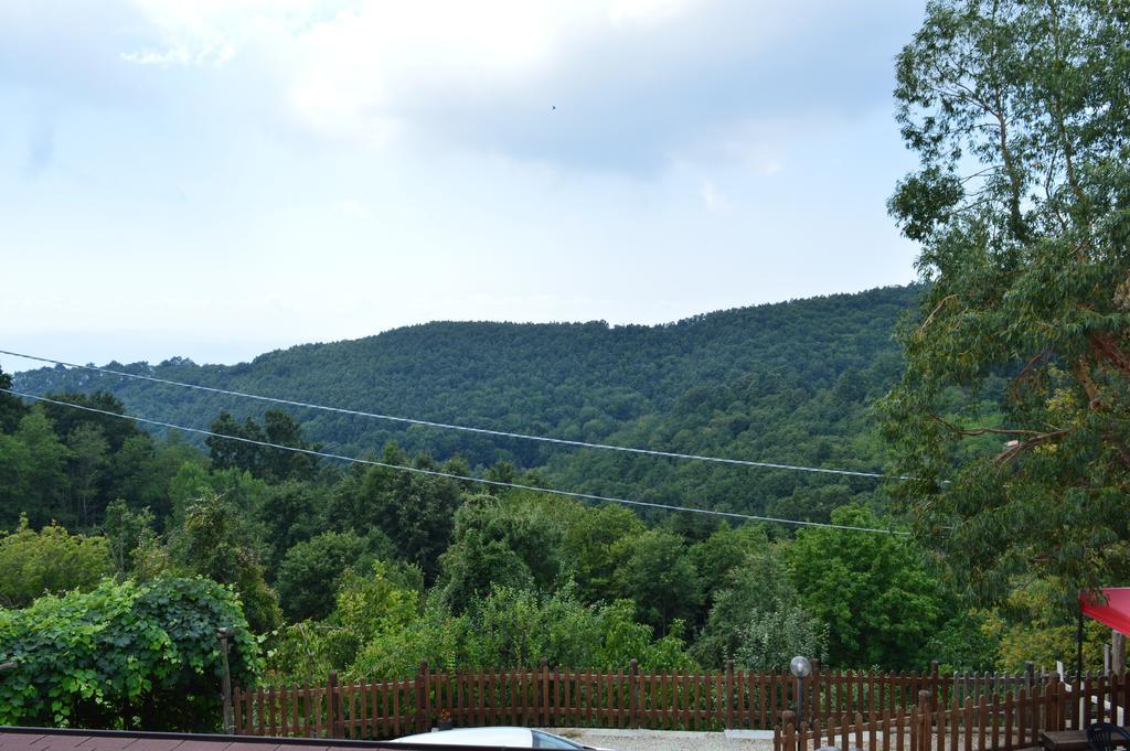 Agriturismo E Turre Serrastretta エクステリア 写真